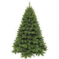 Triumph Tree    , 260 , 