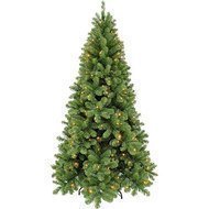 Triumph Tree  -, 230 , 288 , 