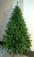 Triumph Tree  , 260 , 