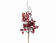 House of Seasons    , 43 , ,  