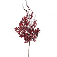 House of Seasons    , 74 , ,  