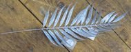 Triumph Nord   , 46 , 