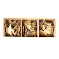 EnjoyMe   Golden Stars/Trees/Hearts, 24 .